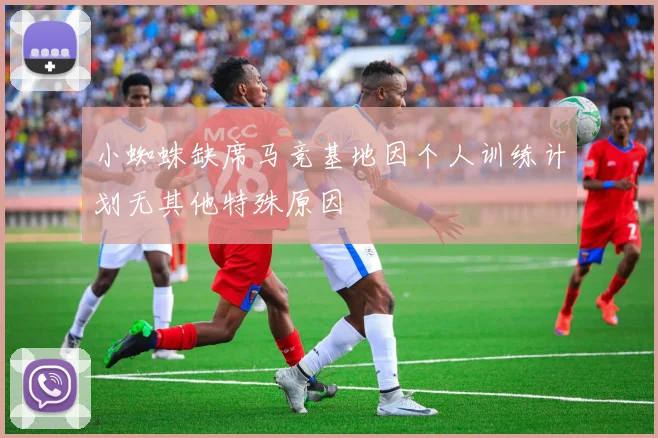 小蜘蛛缺席马竞基地因个人训练计划无其他特殊原因