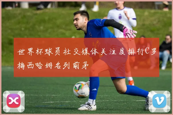 世界杯球员社交媒体关注度排行C罗梅西哈姆名列前茅
