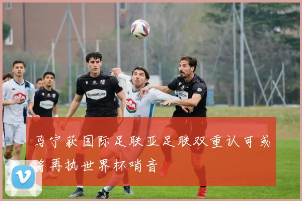 马宁获国际足联亚足联双重认可或将再执世界杯哨音